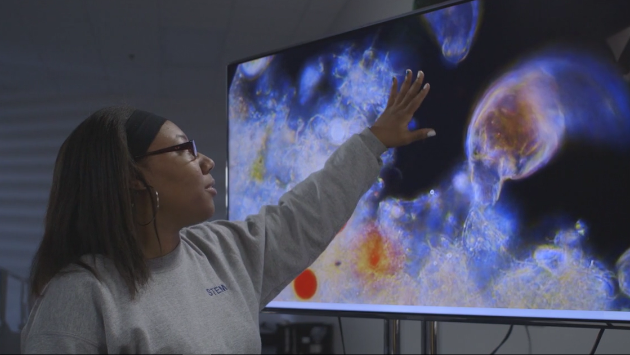 Student Watches Microorganisms Long-distance