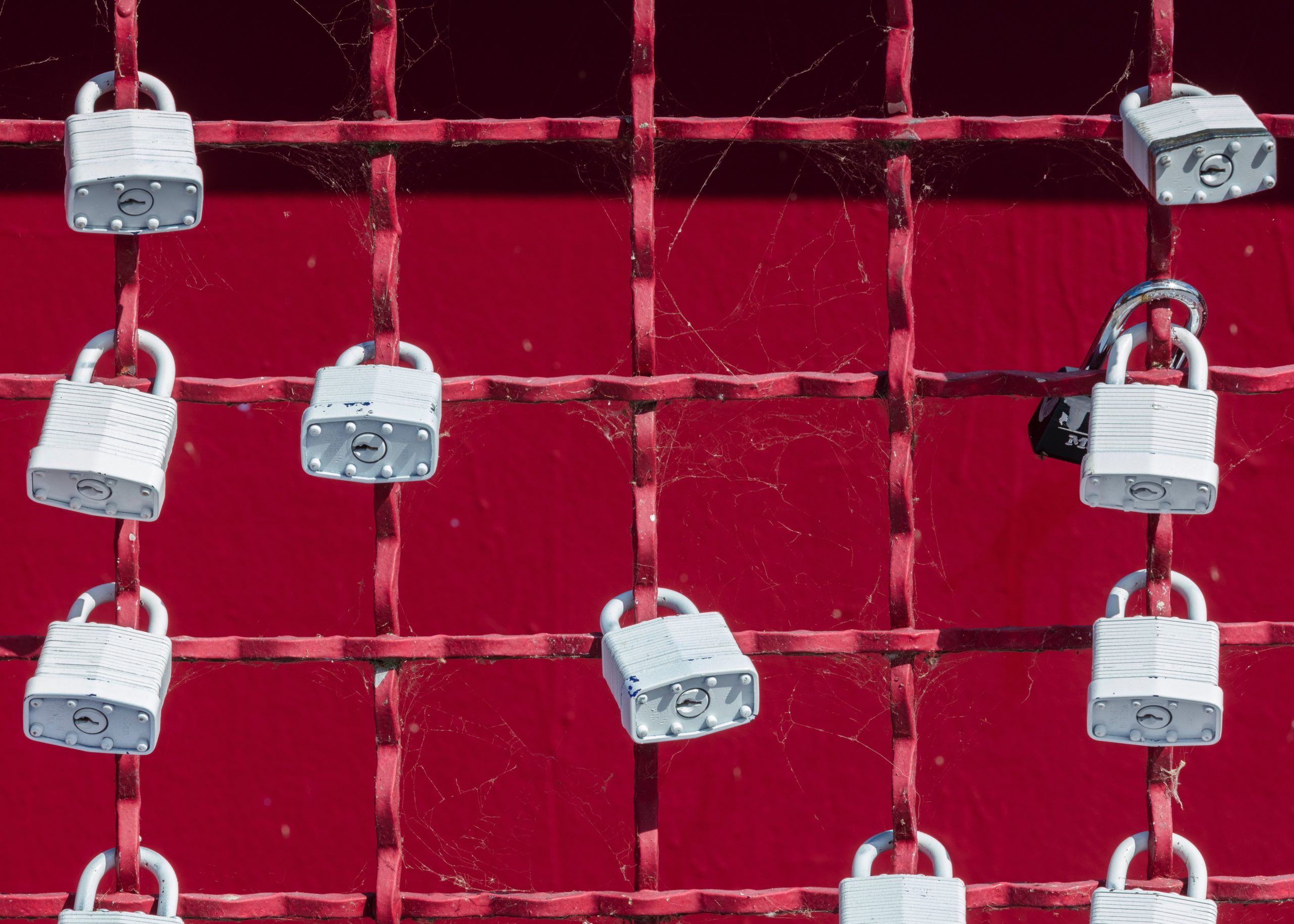 Locks on fence